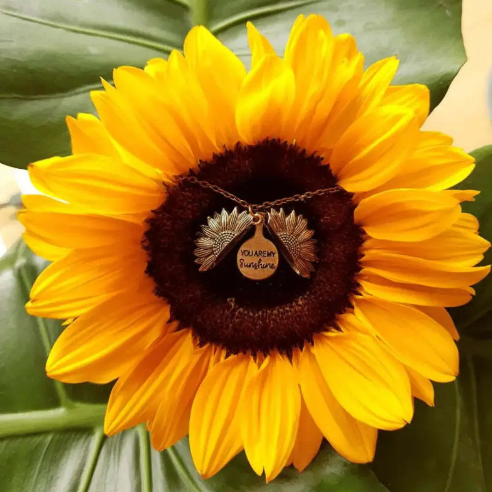 Sunflower Heart Amulet