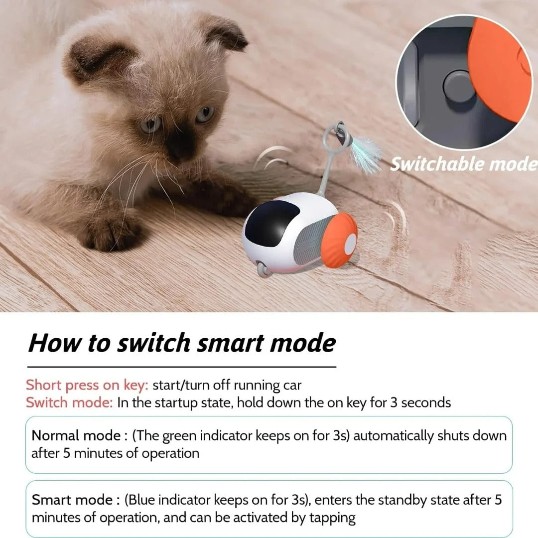 CatChase Pro Remote-Controlled Cat Toy